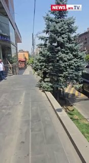 Араик Арутюнян на заседании правительства в Ереване, опровергает слухи о смерти