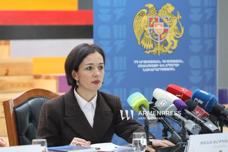 Министр образования Армении Жанна Андреасян подаст иски о клевете на фоне выборов в Вайоц-Дзоре