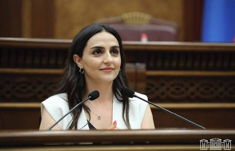 Парламент Армении принял поправки к Избирательному кодексу: что изменится для Вайоц-Дзора
