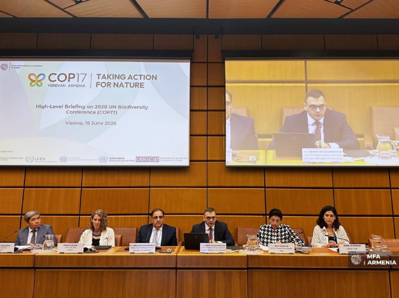 Подготовка к COP17 по биоразнообразию: брифинг в Вене с участием замглавы МИД Армении