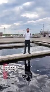 Армения получила право экспортировать рыбу в ЕС: новые перспективы для Вайоц-Дзора