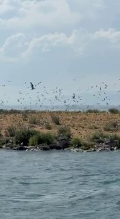 Никол Пашинян на острове чаек на озере Севан
