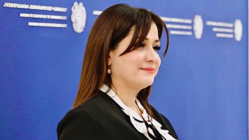 Назели Багдасарян, пресс-секретарь премьер-министра Армении, на рабочем месте в Ереване