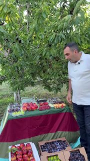 Первая партия армянских фруктов из Вайоц-Дзора отправлена в ОАЭ