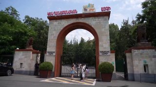 Тигры и львы из особняка Царукяна в карантинной зоне Ереванского зоопарка